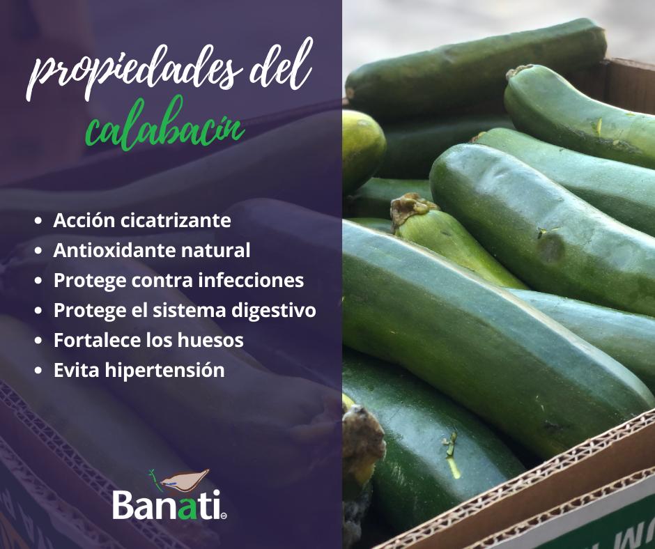Banati A.C. - Sabias que.... #BanatiSigueAdelante #BanatiTips | Facebook