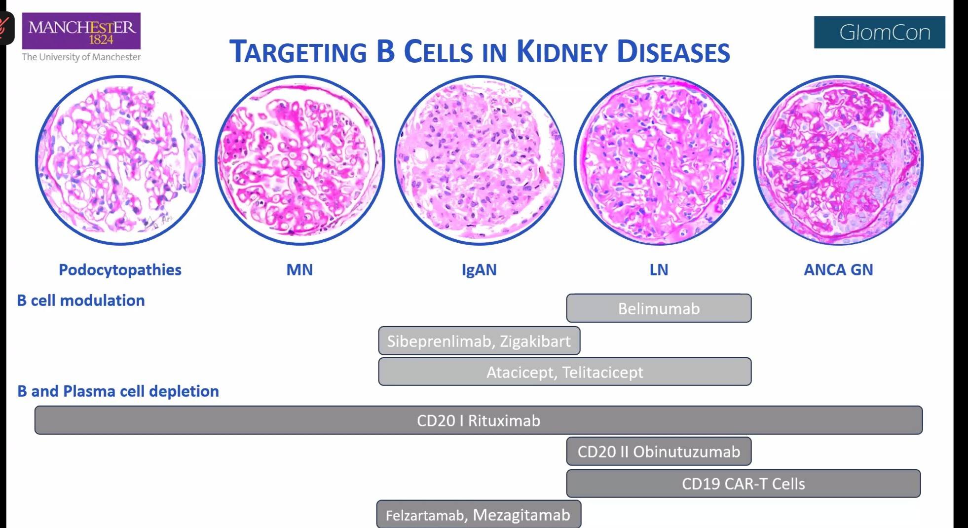 bpc 157 kidney disease Targeting B cells in 😁 Vitamin injections - hair coopers methylcobalamin Sharps Bin:Yellow