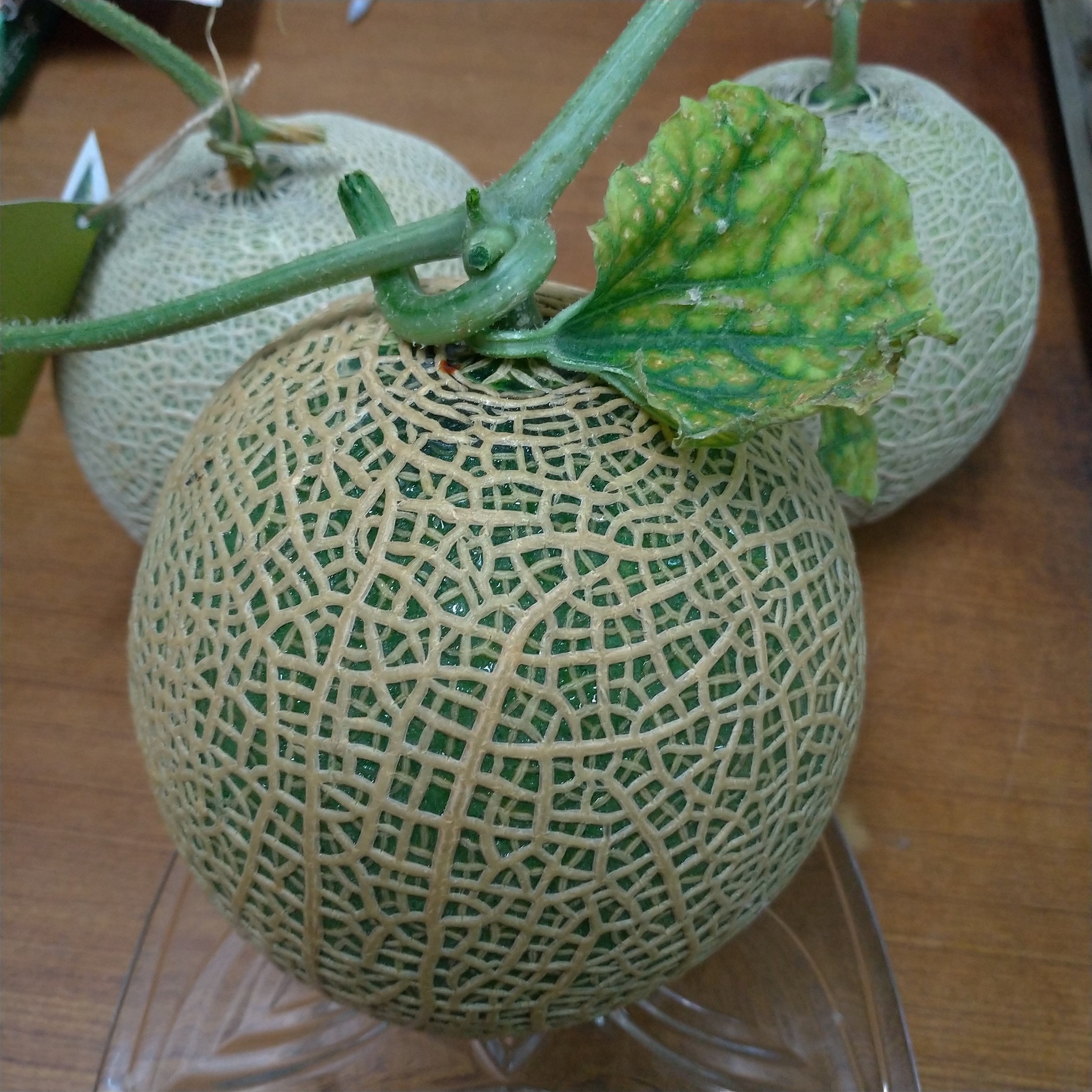 黃河果園 - 在煩惱要送長輩什麼禮物嗎？ 強健優美的果梗宛如展翅高飛的白鶴， 細緻浮凸的網紋象徵佈滿紋路的龜殼，...