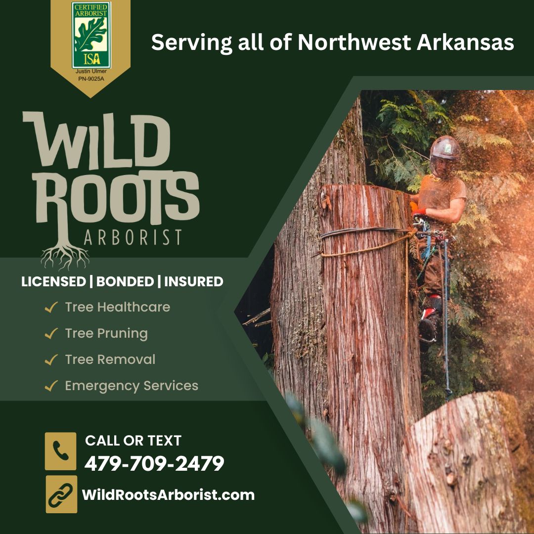 Wild Roots Arborist | Fayetteville AR