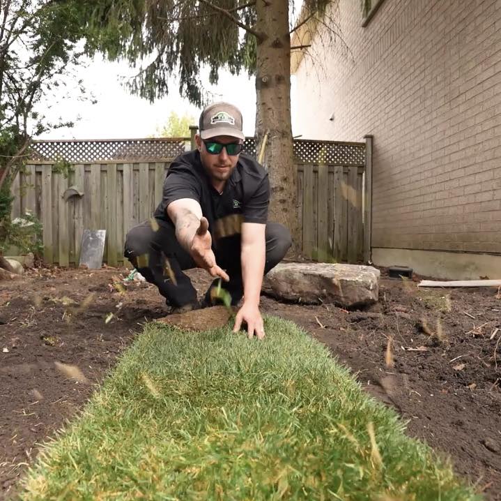 Project Lupin 🌿 A full backyard transformation designed to create two ...