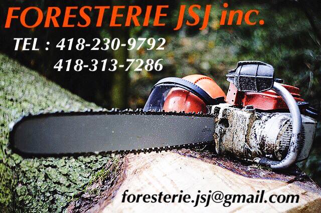 Foresterie JSJ inc.