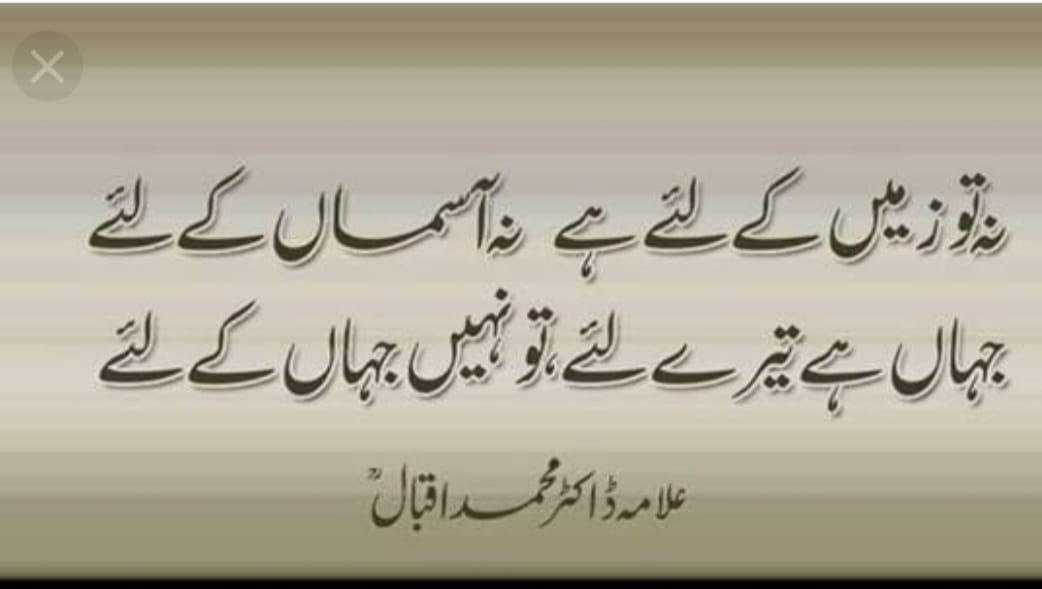 Muslim Diaries