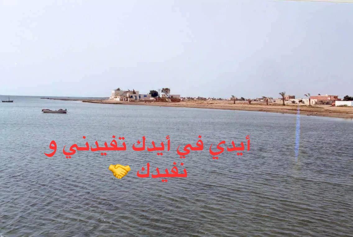 El-Rakib الرّقيب