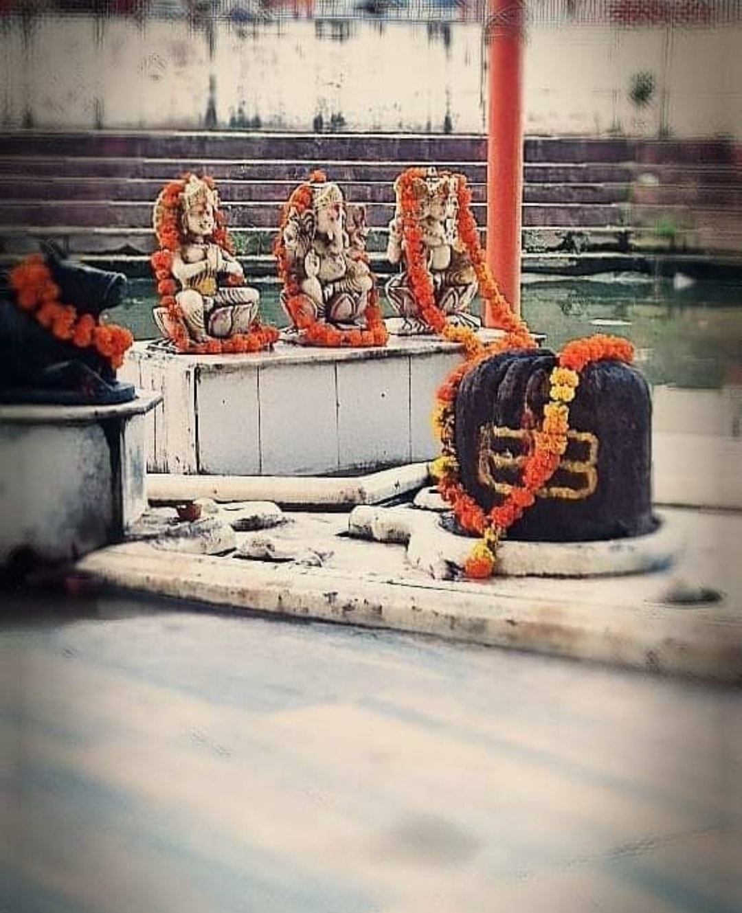 🕉️🙏🏻🔱🌿🌼 - Devotee Of Mahadev