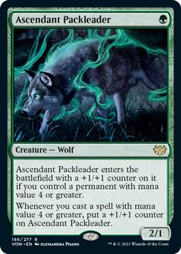 werewolf cards mtg Tovolar, Dire Overlord Commander Custom Werewolves Wolf  Moonveil Games The wolf MTGNexus - Cornell, Lord of