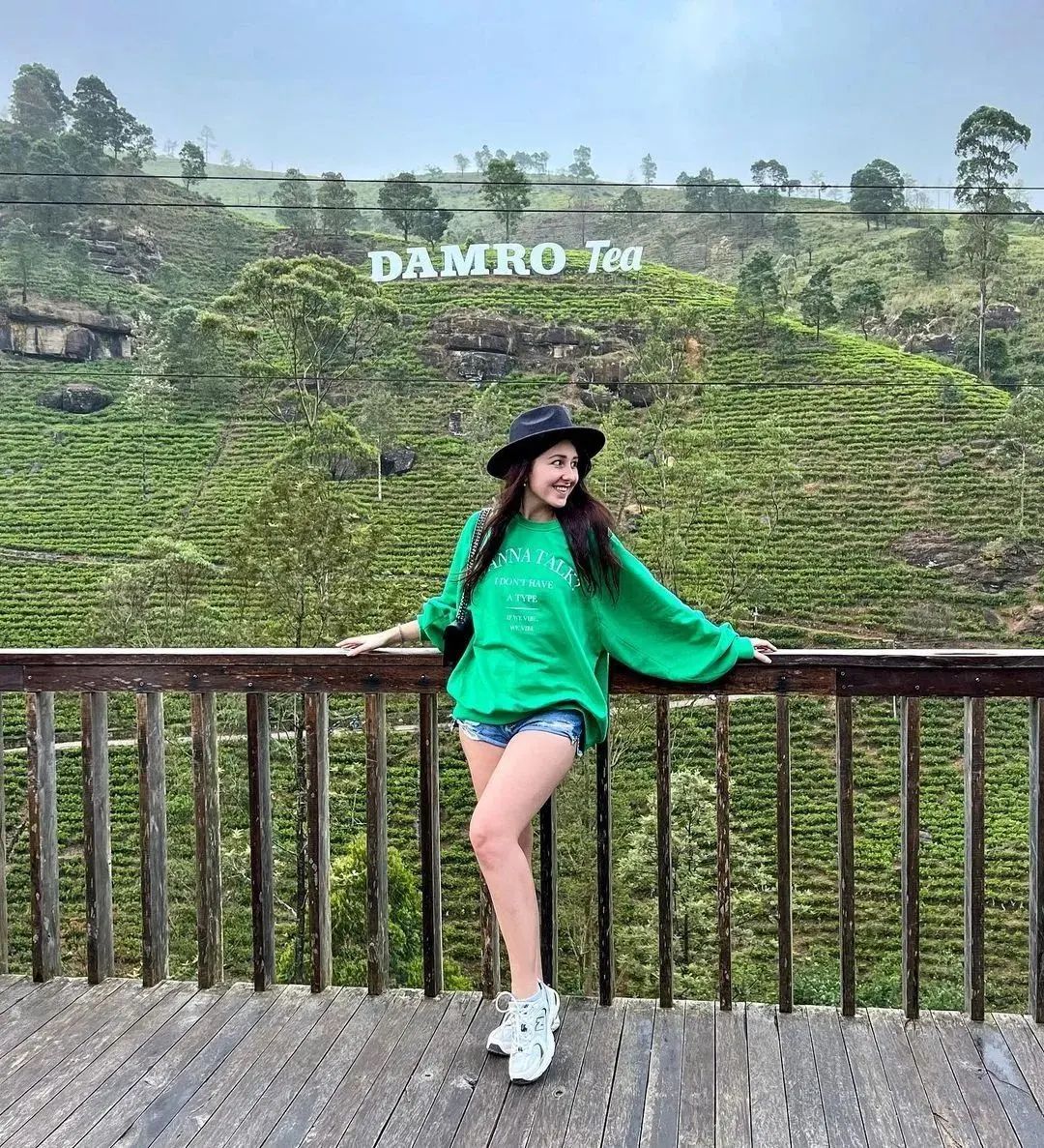 C E - 𝐃𝐚𝐦𝐫𝐨 𝐋𝐚𝐛𝐨𝐨𝐤𝐞𝐥𝐥𝐢𝐞 𝐓𝐞𝐚 𝐏𝐥𝐚𝐧𝐭𝐚𝐭𝐢𝐨𝐧𝐬 🇱🇰 🌎 💚👣🍃 The Nuwara Eliya tea ...