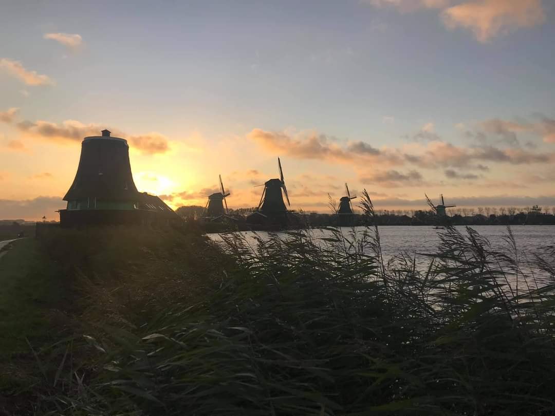 De Zaansche Molen - Even een plaatje om van te genieten in deze ...