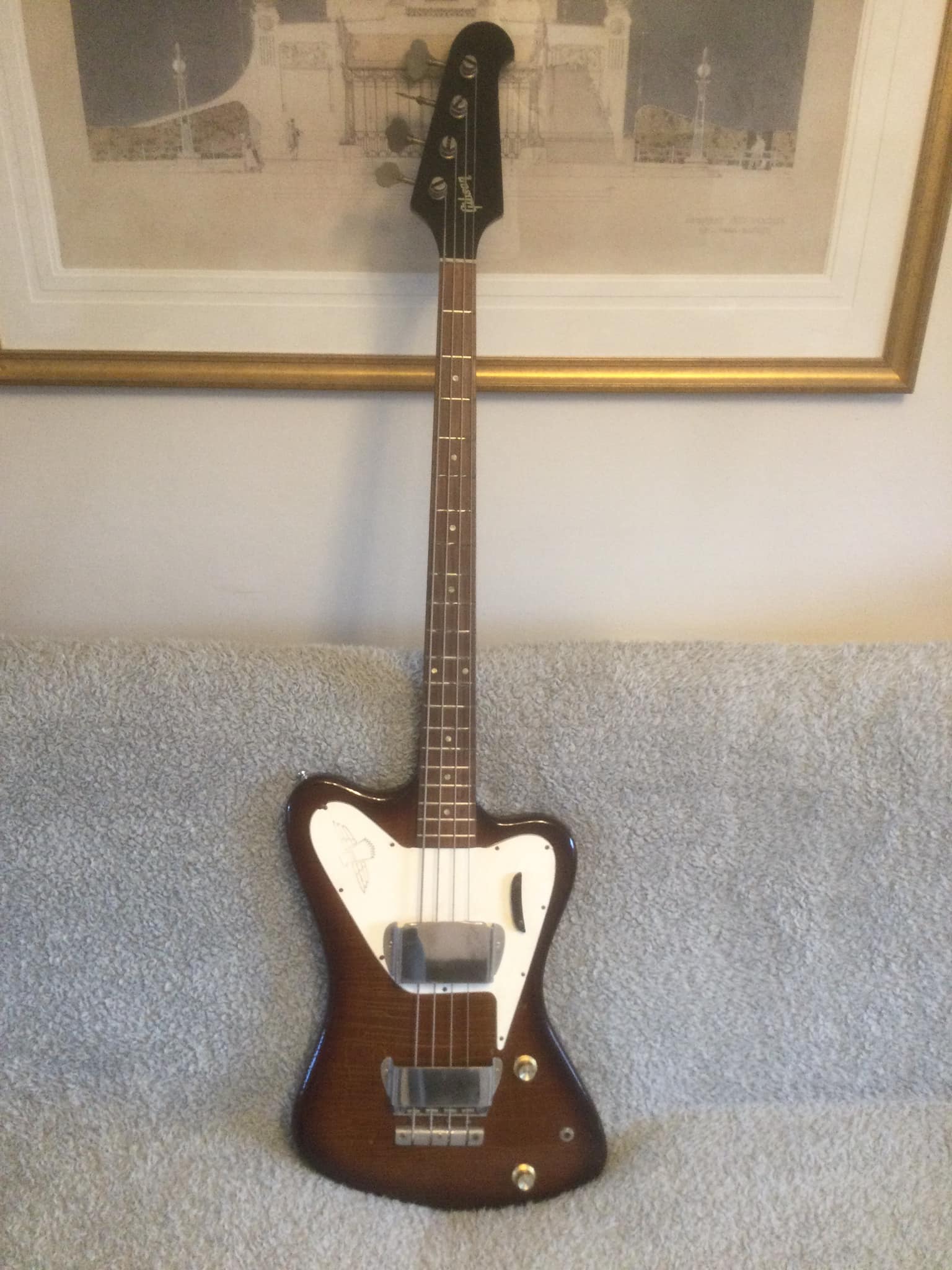 My 1995 Non-Reverse Thunderbird 5 string bass