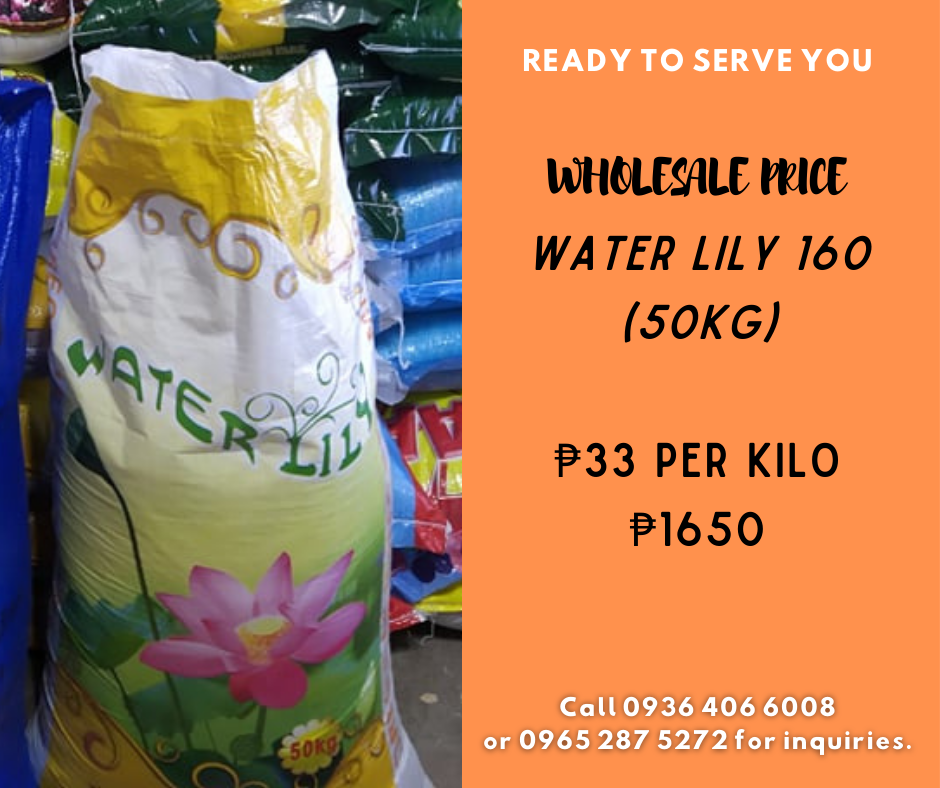 4 Sisters Rice Dealer Wholesale and Retail | San Jose del Monte