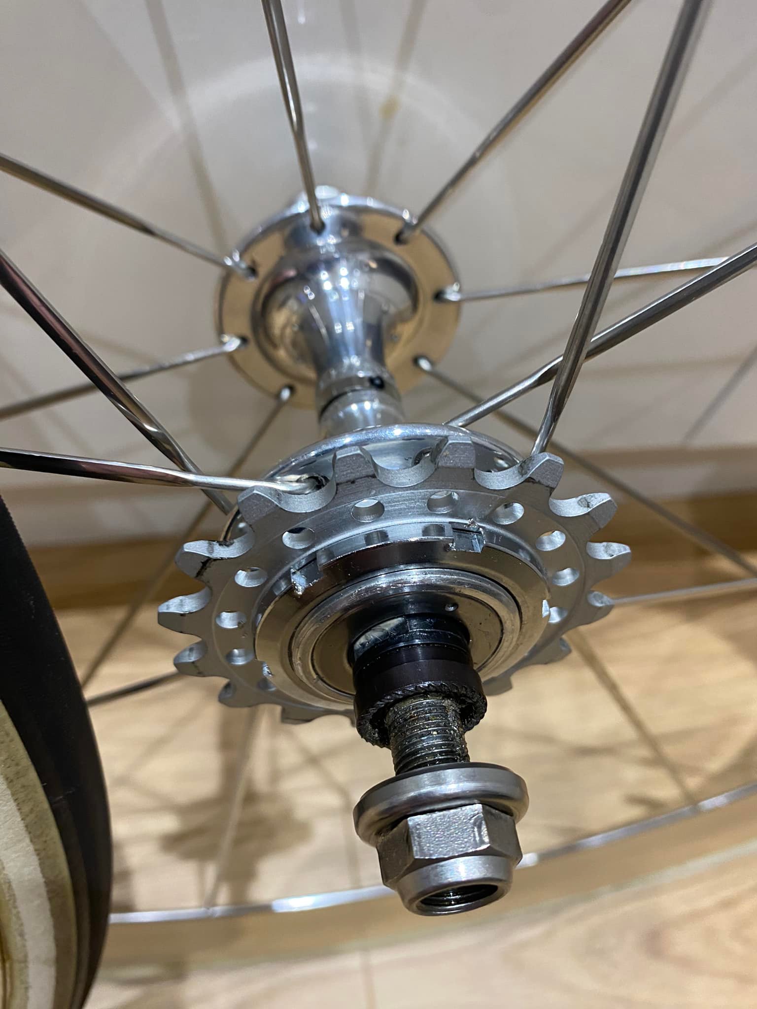 Campagnolo Shamal 16 track wheels with Vittoria Pista Evo CS tyres