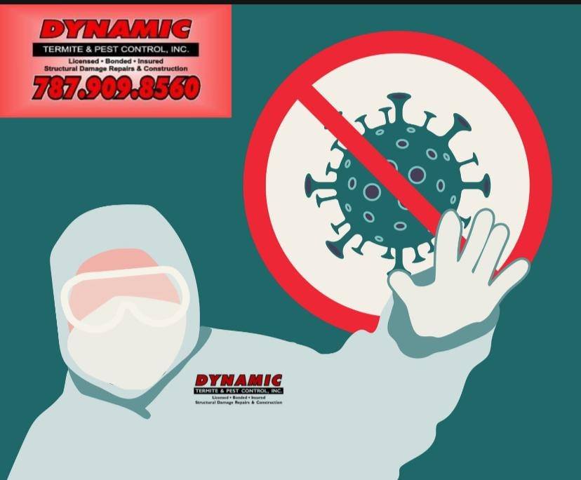 Dynamic Termite and Pest Control, Inc | Caguas