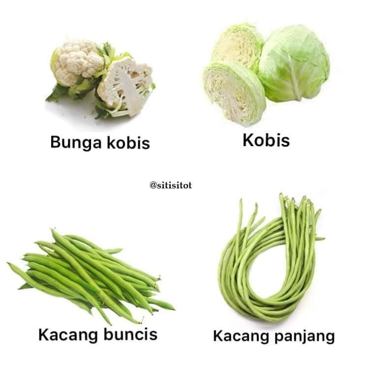 Cikgu Sains Kenali Jenis Jenis Sayur Dan Tumbuhan Untuk Facebook