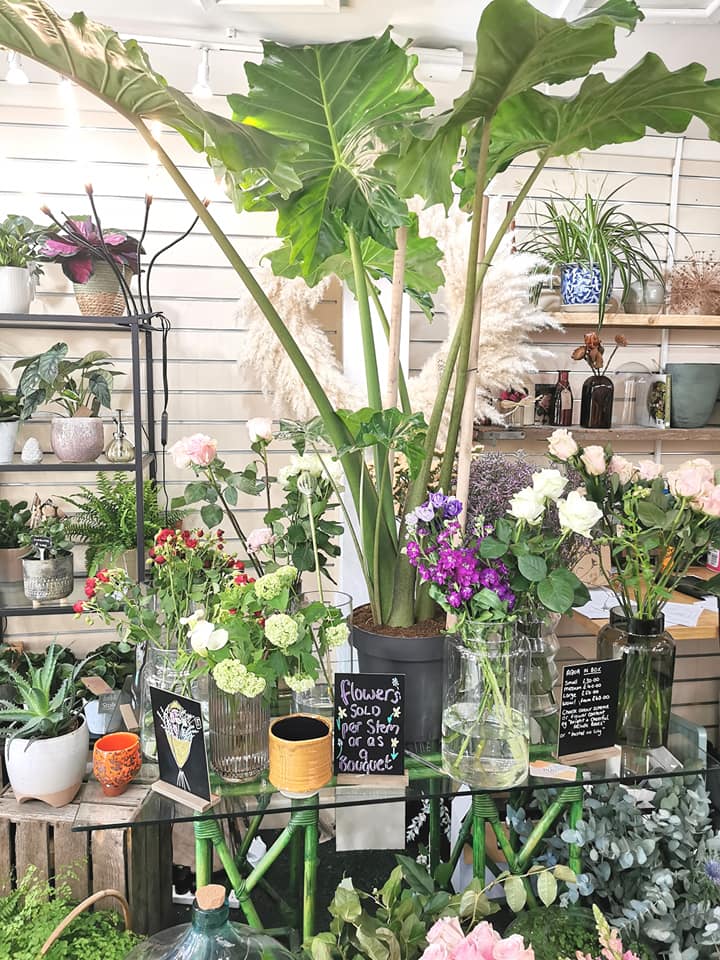HALLS of Ripon - 🌟 We have been open a year!!! 🥳🥳 And... | Facebook