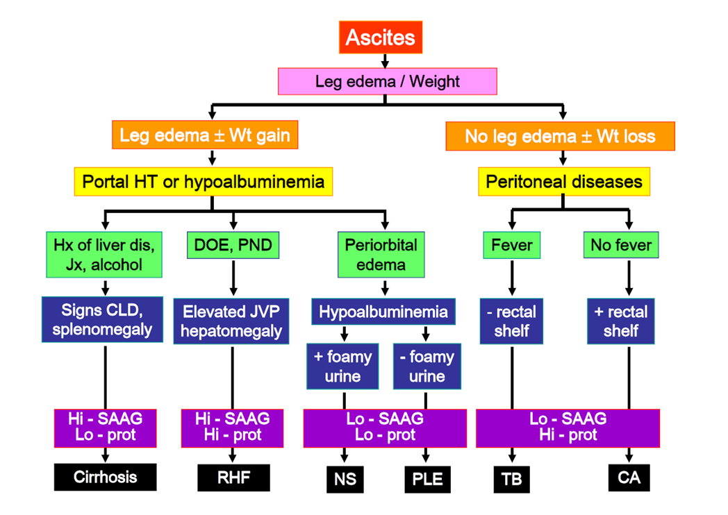 การ approach ascites :: ::... - จับฉ่าย อายุรศาสตร์ | Facebook