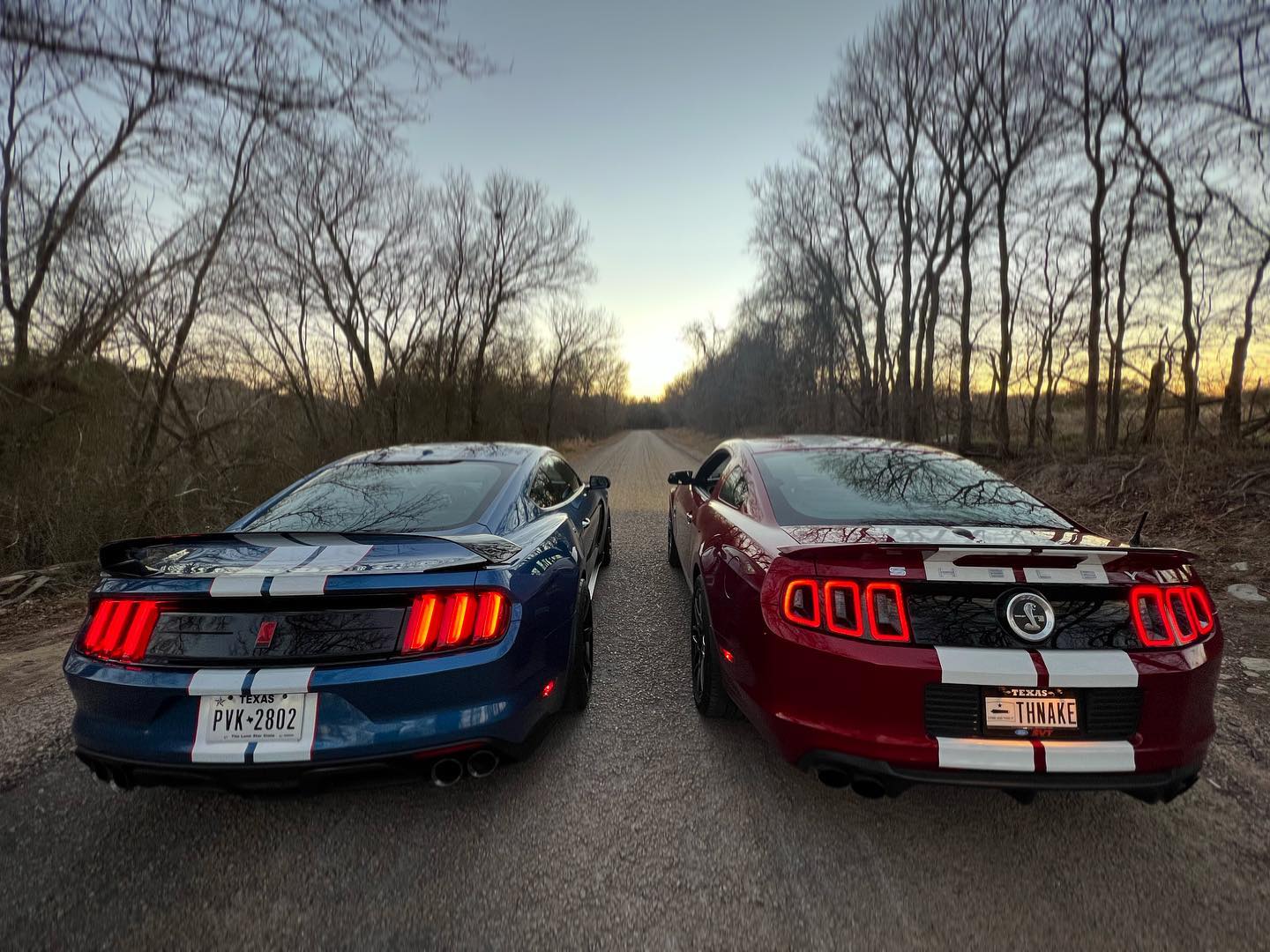 Texas Revving | Austin TX