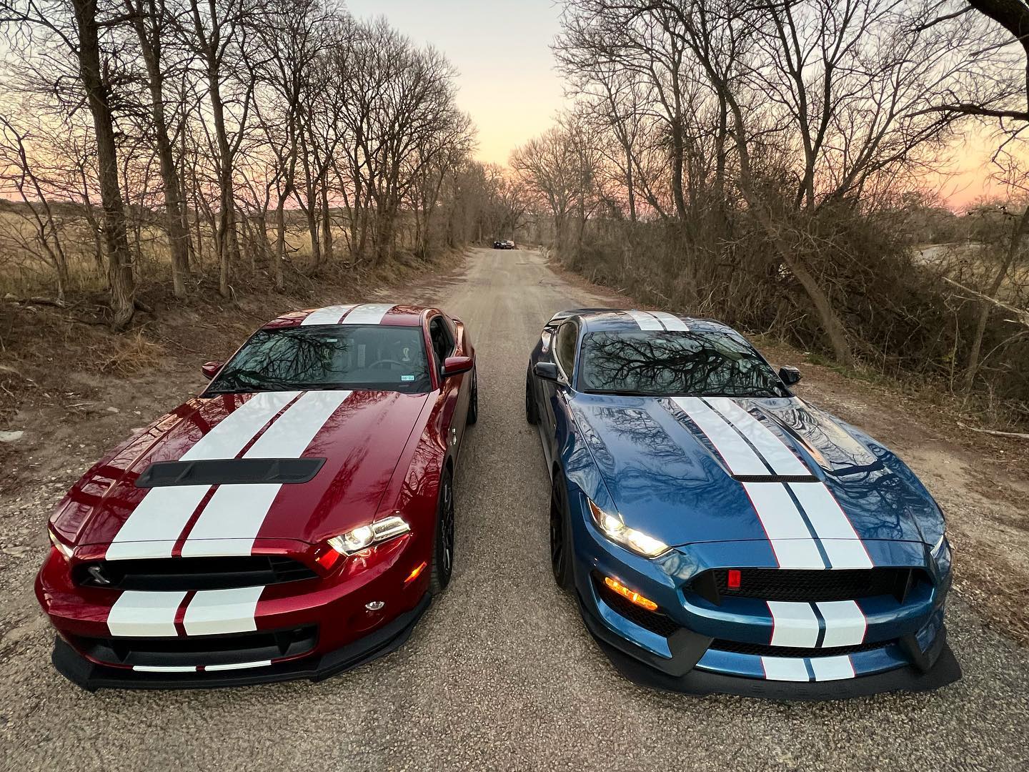 Texas Revving | Austin TX