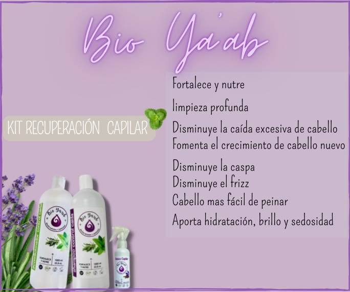 Bio Ya’ab Distribuidora | Torreón