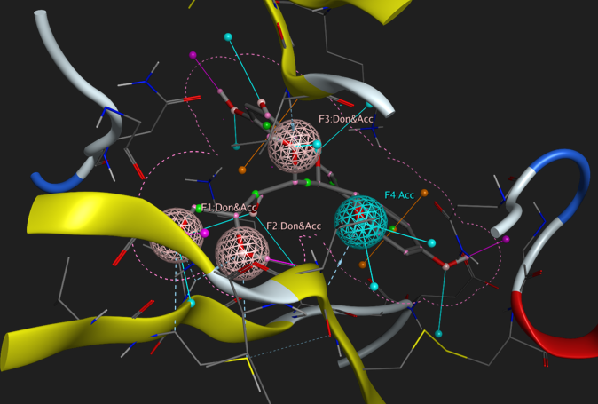 Molecular Dynamics Simulation & Docking | Bioinformatics | Hi everyone ...