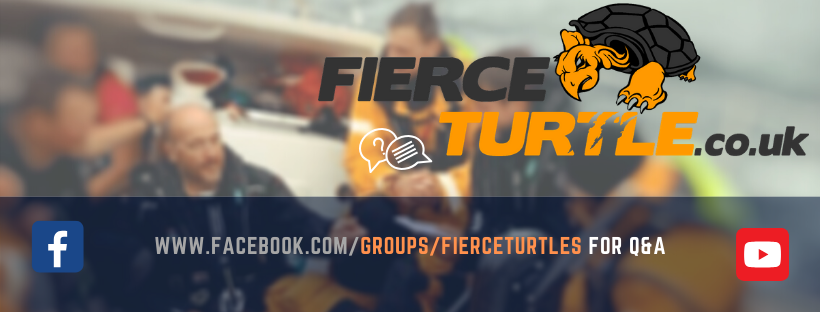 Fierce Turtles | Facebook