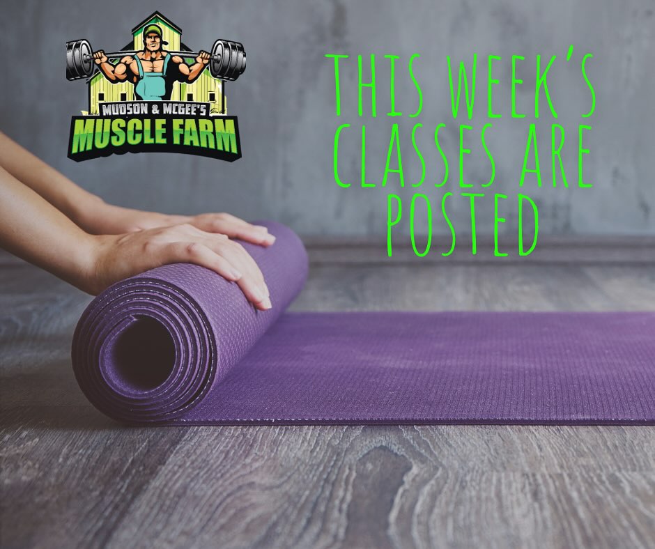 Mudson & Mcgee’s Muscle Farm | Eads CO