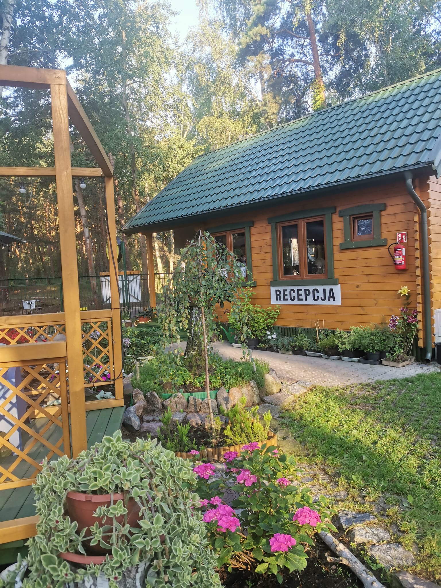 zelt gros Camping 4 Personen Zelte 5000mm wasserdichte Tunnelzelt Familienzelt Gruppenzelt Vorzelt Sonnensegel Tipi-Zelt Groß Campingzelt mit Schlafkabine Glamping-Zelt mit abnehmbarem Zeltboden Sport & Freizeit Rickenbacker 4001CS Chris Squire Do you have the factory rail system in the bed?:Yes. Mounts to factory rail system Bike & Cycling