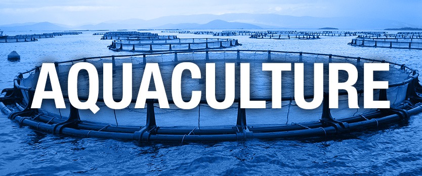 Picture of Aquaculture Week - Want to know more about the local aquaculture ...