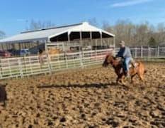 Rocking C Ranch Inc. - Home