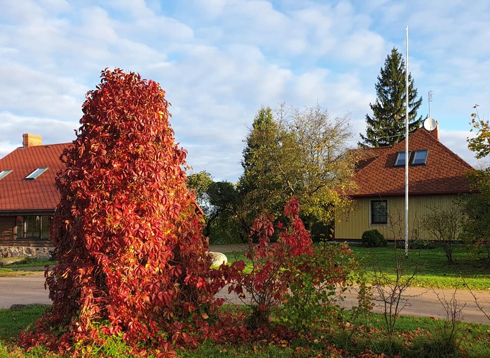 Viesu māja Smēdes | Pale