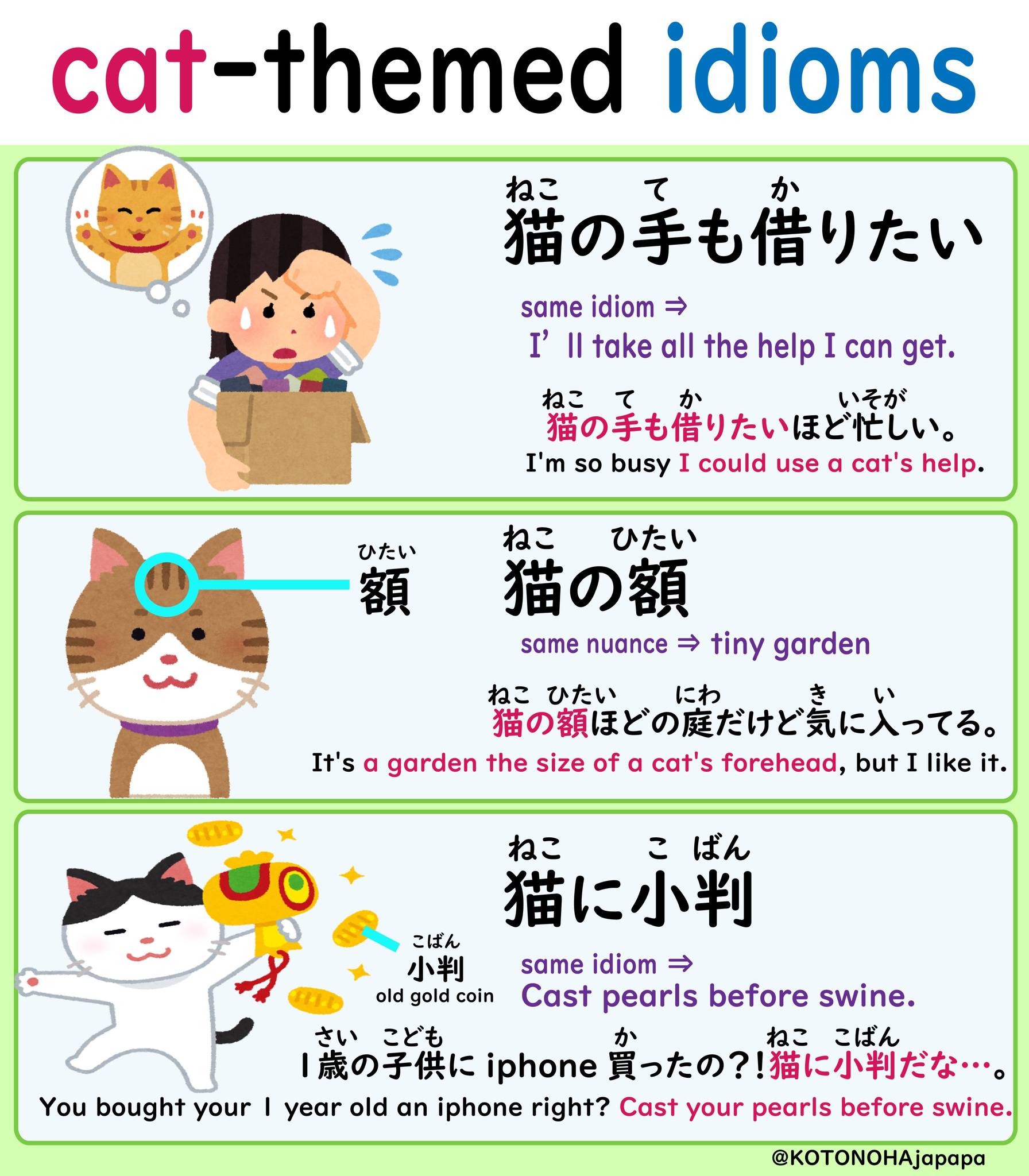 慣用 句 猫 の 額