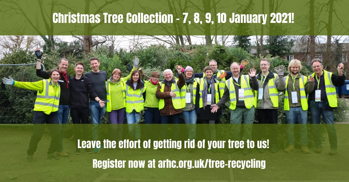 Christmas Tree Recycling Scheme