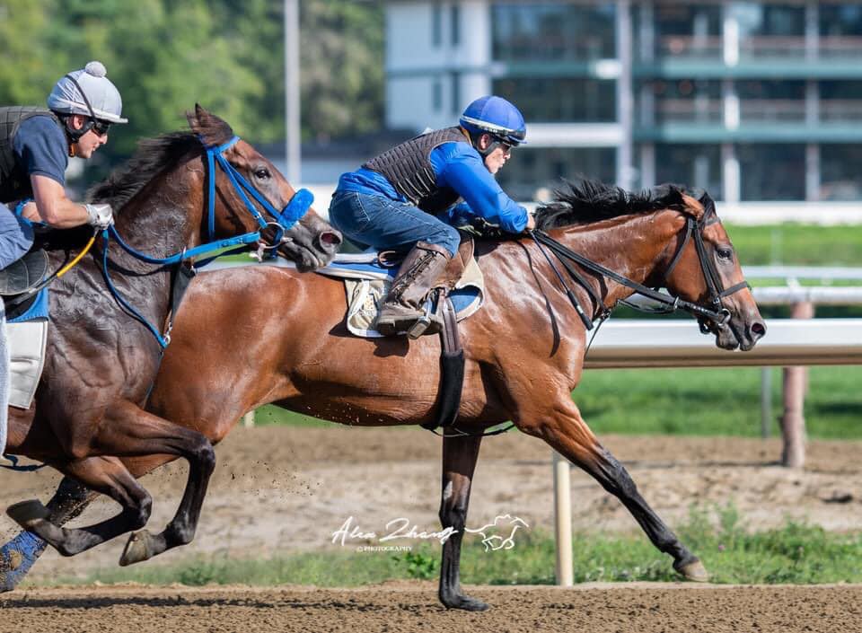 East Ave Racing Stable
