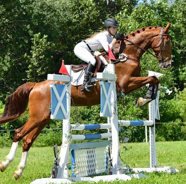 Practice (using a properly fitted... - Paramount Saddlery