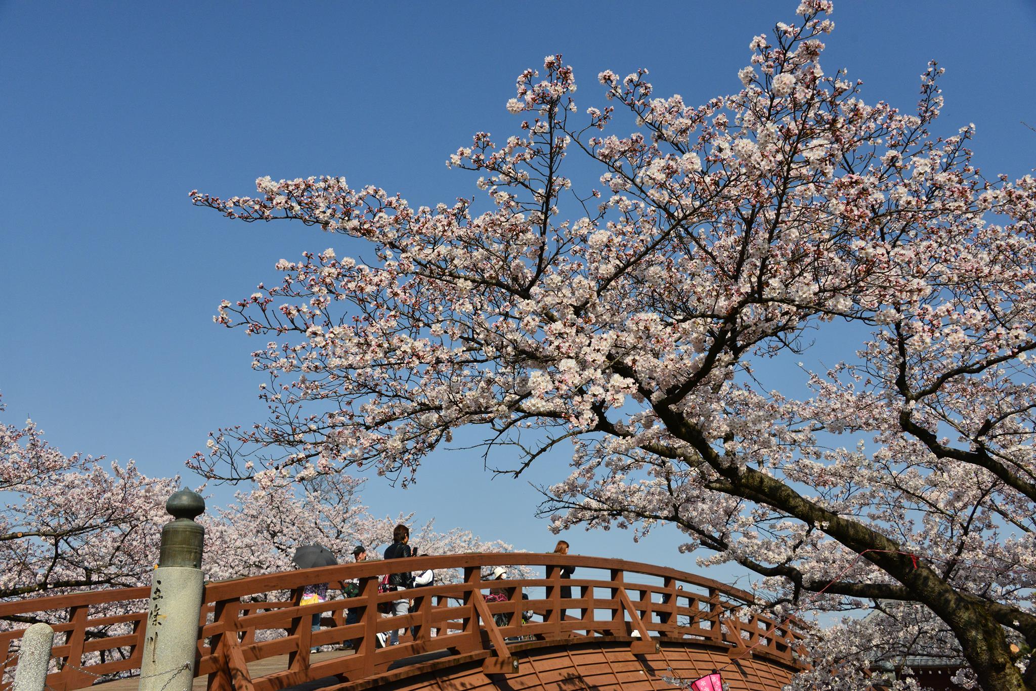 大口町