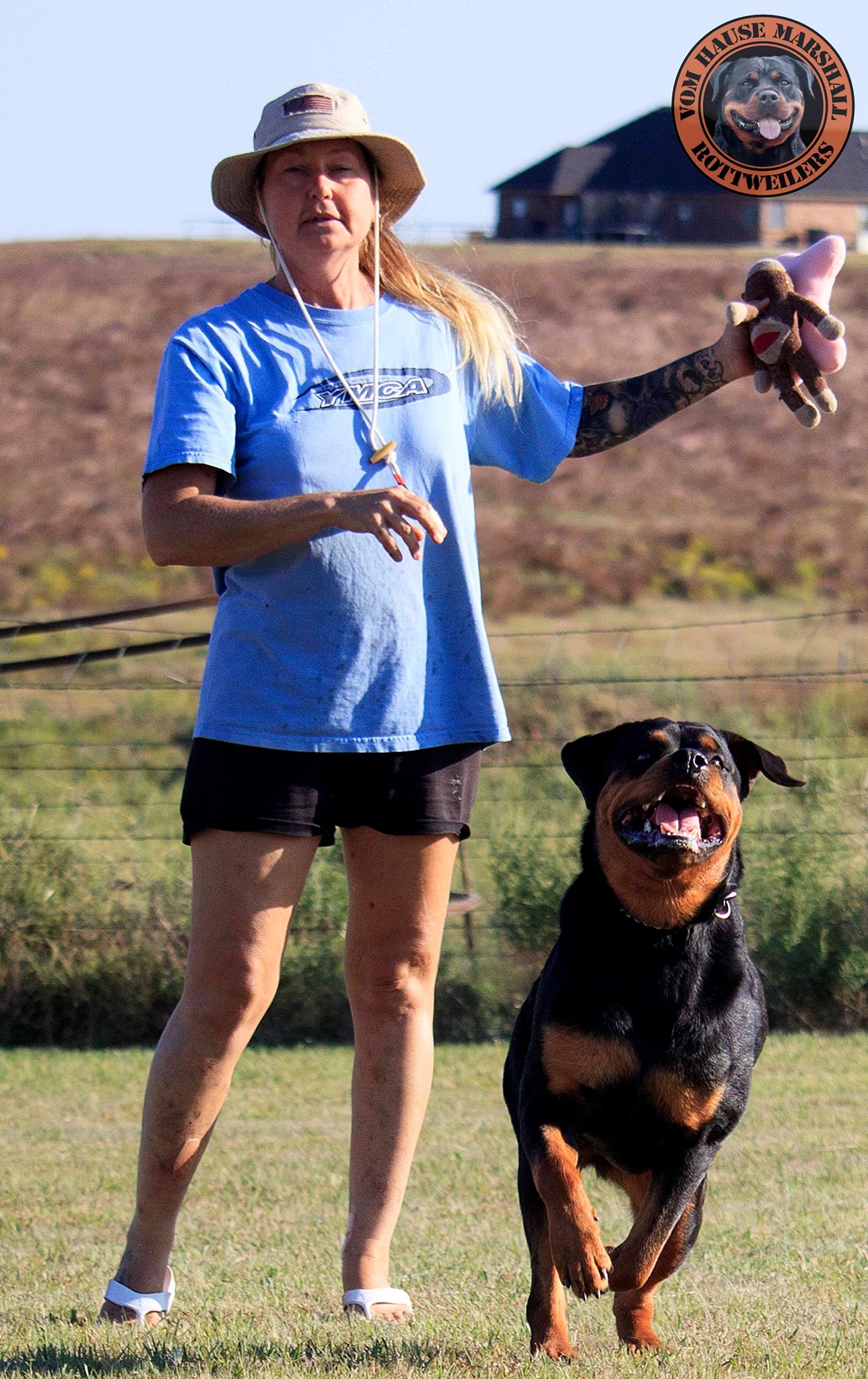 Vom Hause Marshall Rottweilers