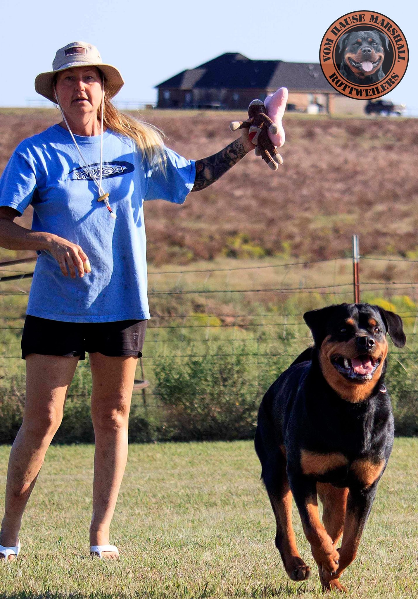 Vom Hause Marshall Rottweilers