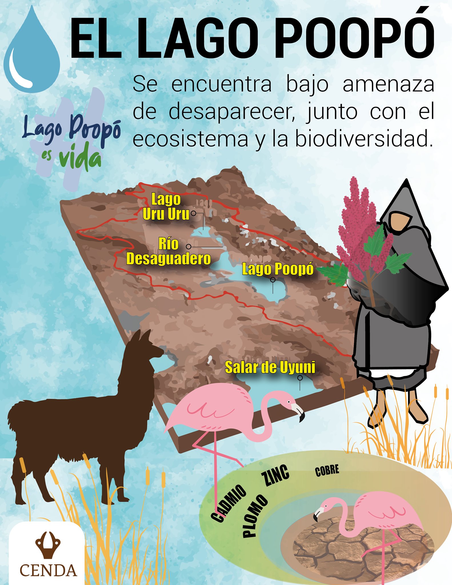 #Cenda #LagoPoopóEsVida 💧EL LAGO POOPÓ... - CENDA - Bolivia | Facebook