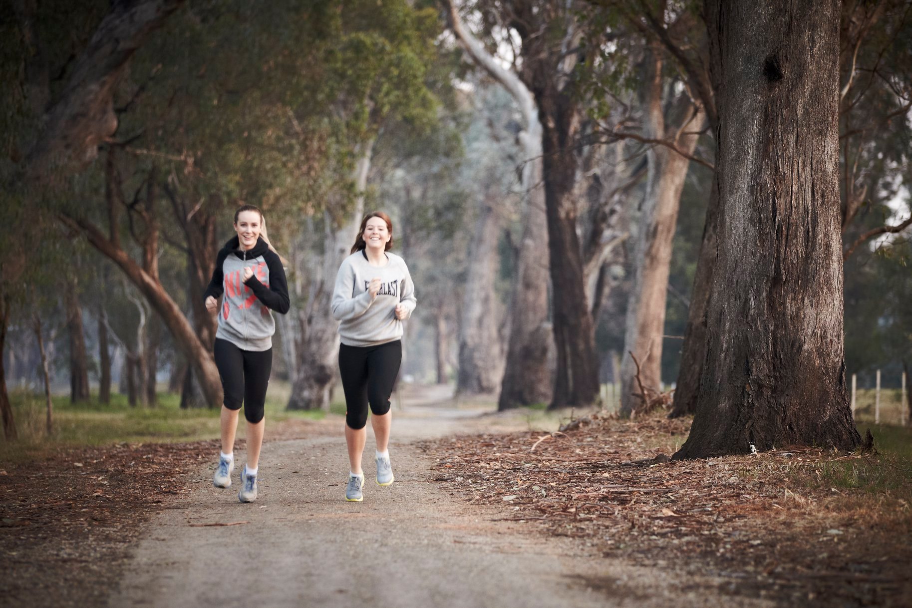 To celebrate the launch of the... - Rural City of Wangaratta