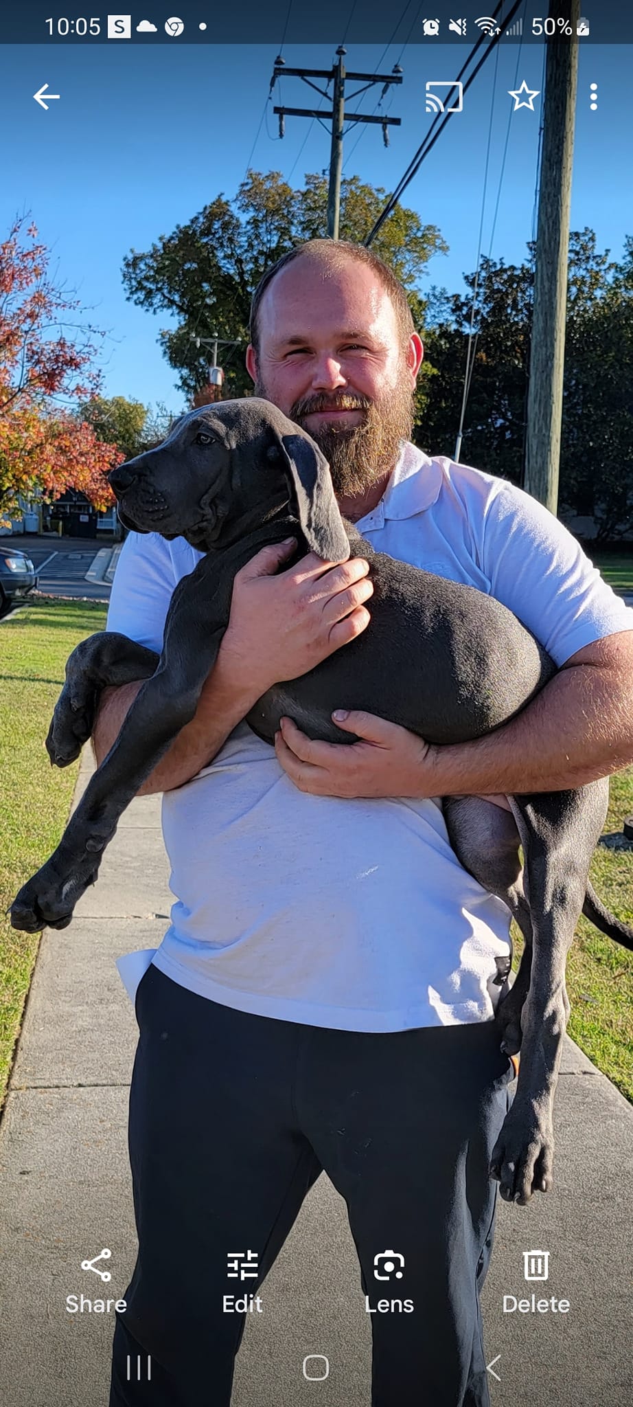 D&Ms Danes