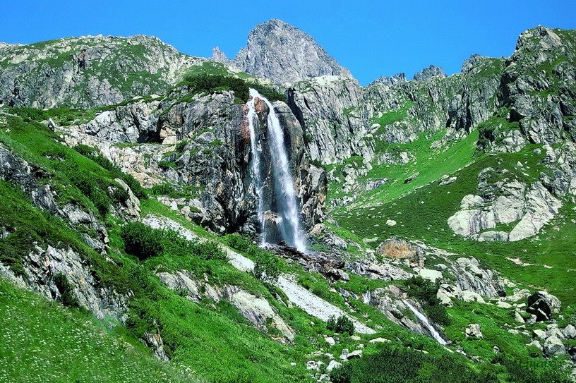 Gamta