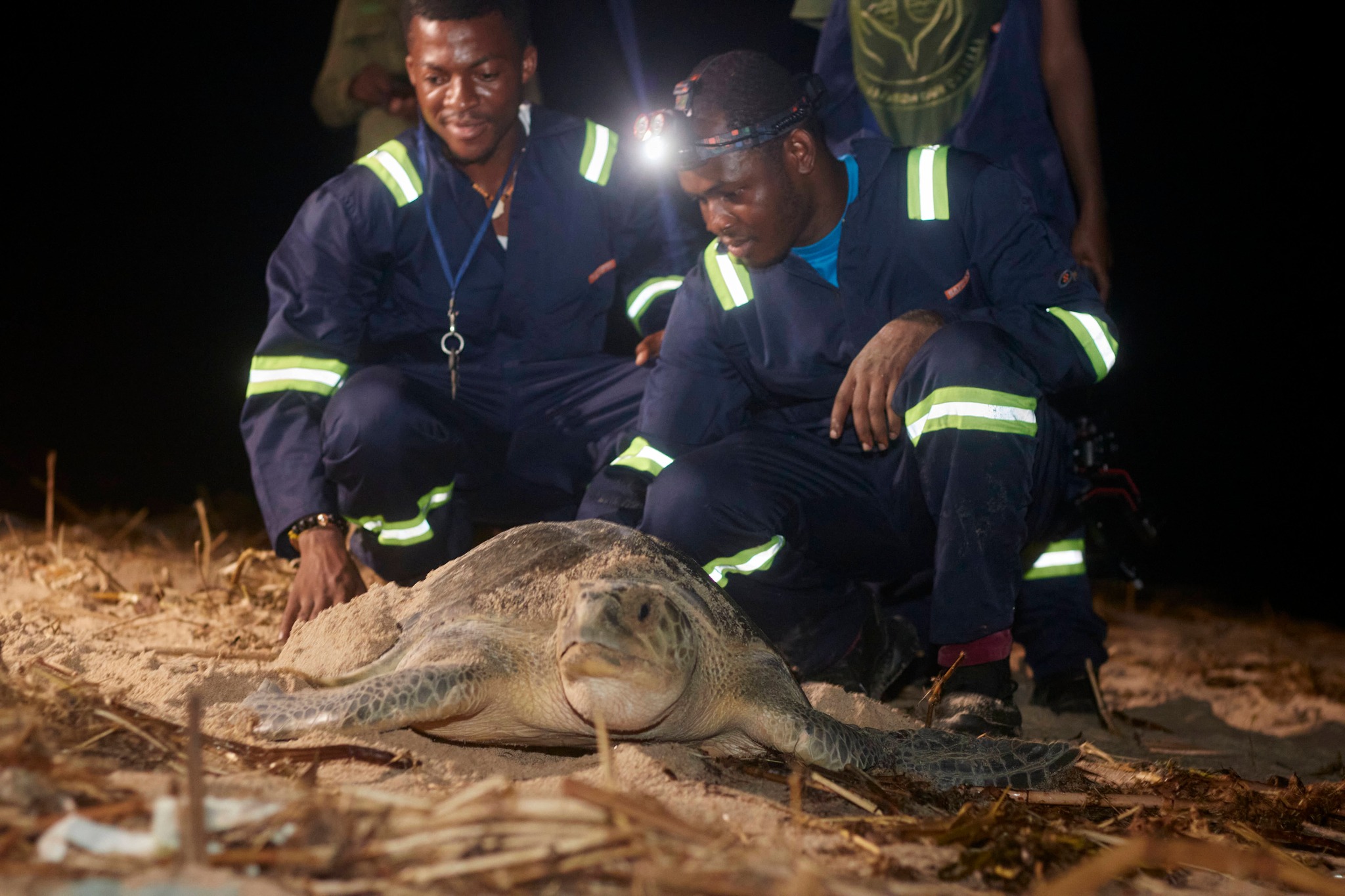 A ROCHA KNUST - We are Friends of Sea Turtles Marine...