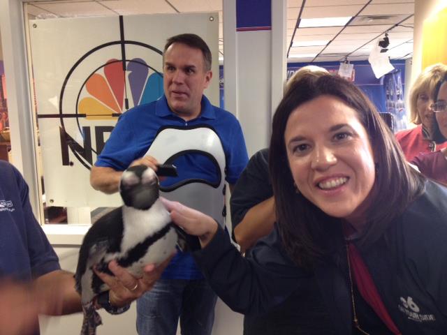 Lisa Rantala - Look who showed up to our morning meeting today. She's a ...