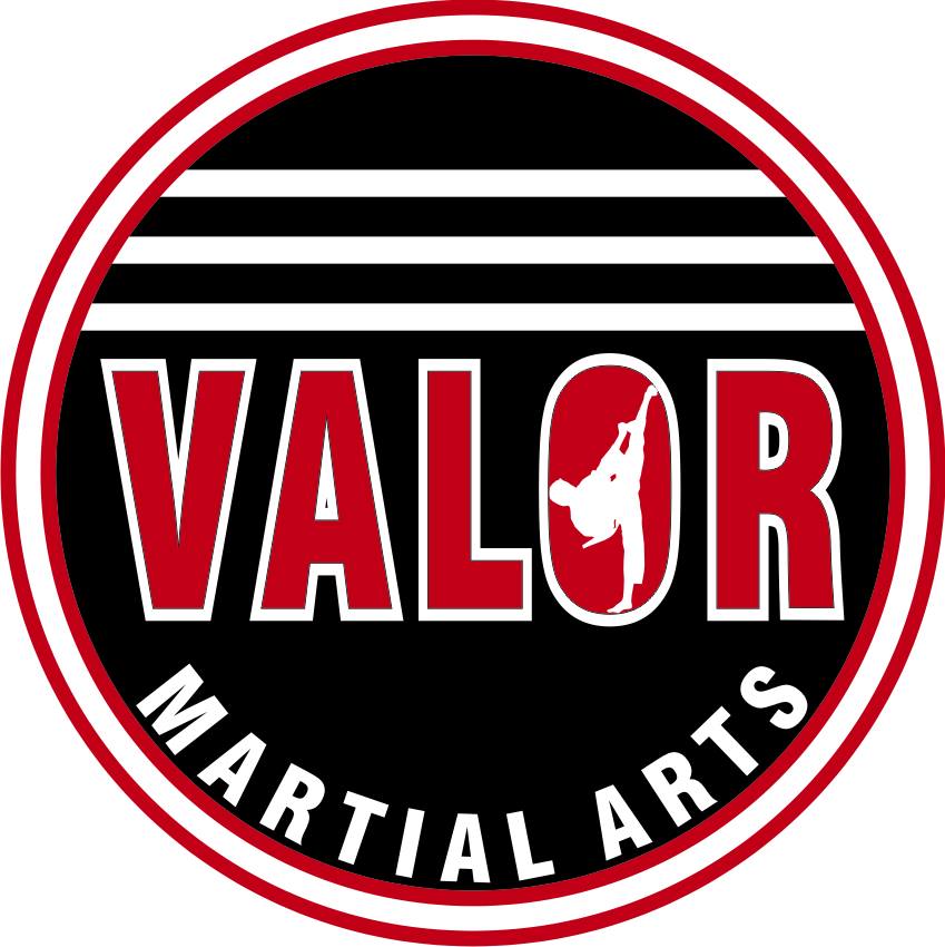 💫 Instructor Spotlight: Layton 💫 If... - Valor Martial Arts | Facebook