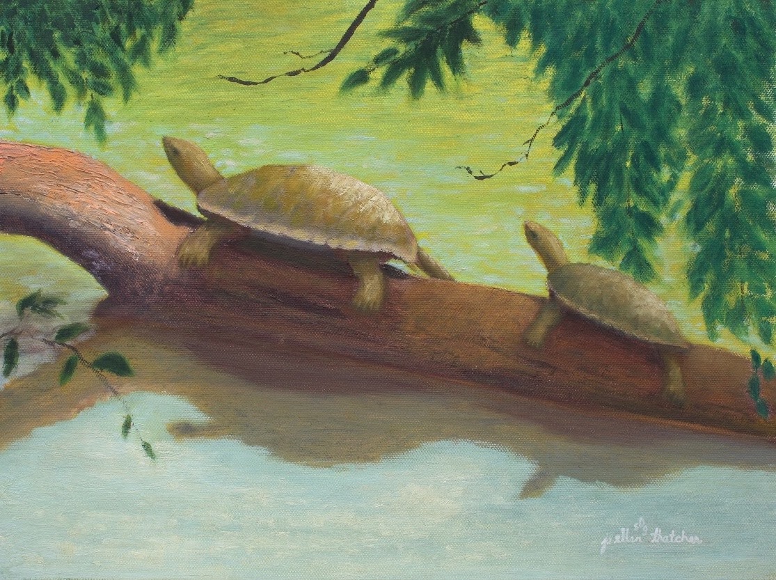 Heather Rohde Fine Art updated... - Heather Rohde Fine Art