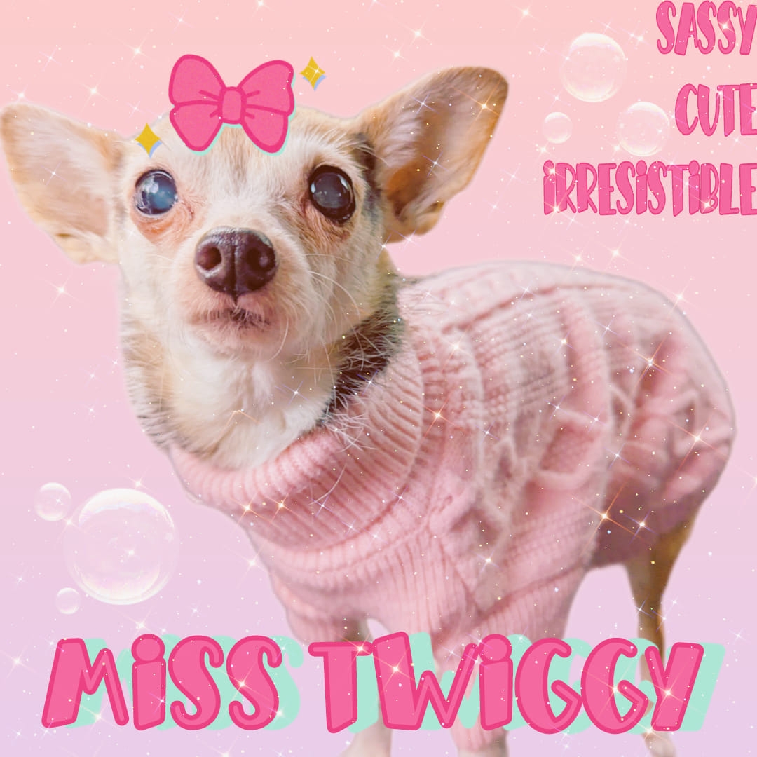 Miss Twiggy