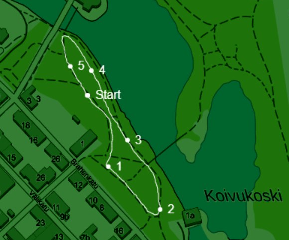 Jungle Race