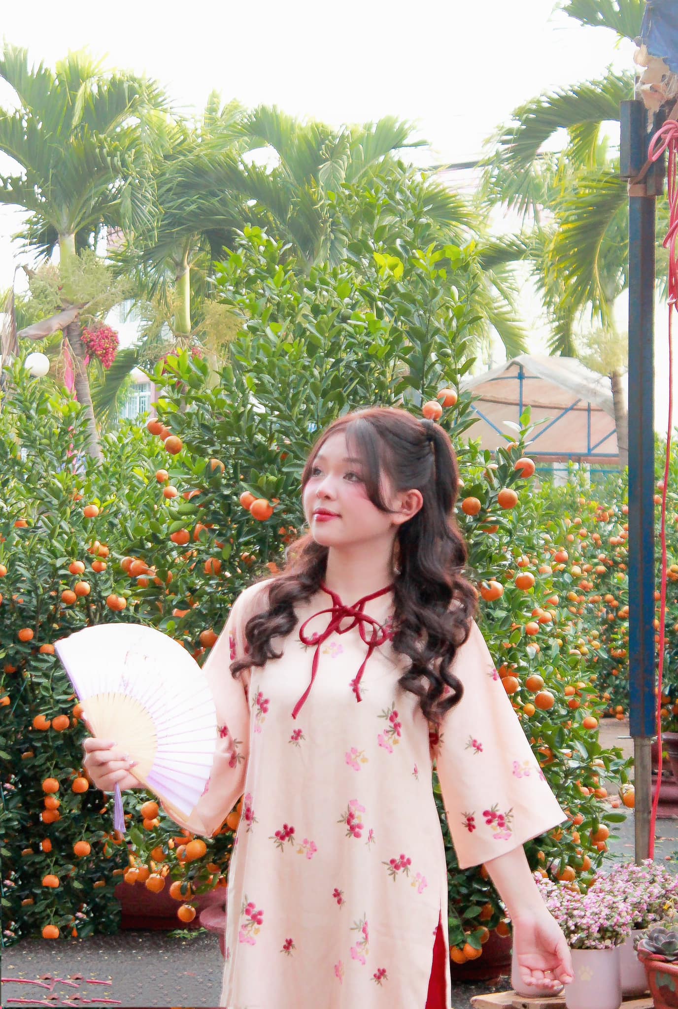 Chi Chu