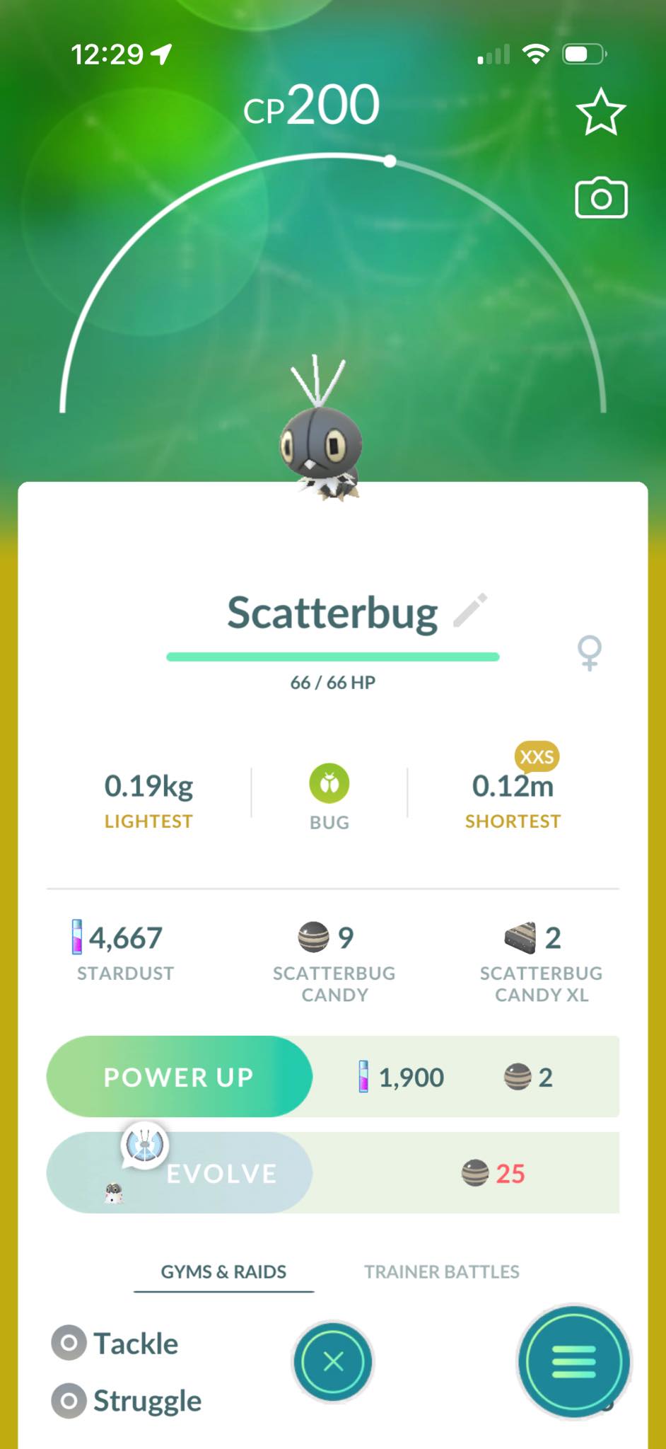 I got an xxs scatterbug from Czechia 12:29 СР P200 Scatterbug 66
