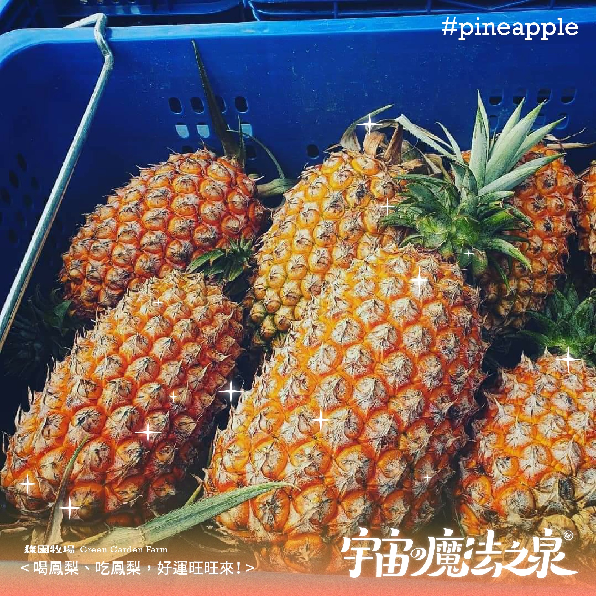 綠園牧場新鮮果汁 الصفحة الرئيسية فيسبوك