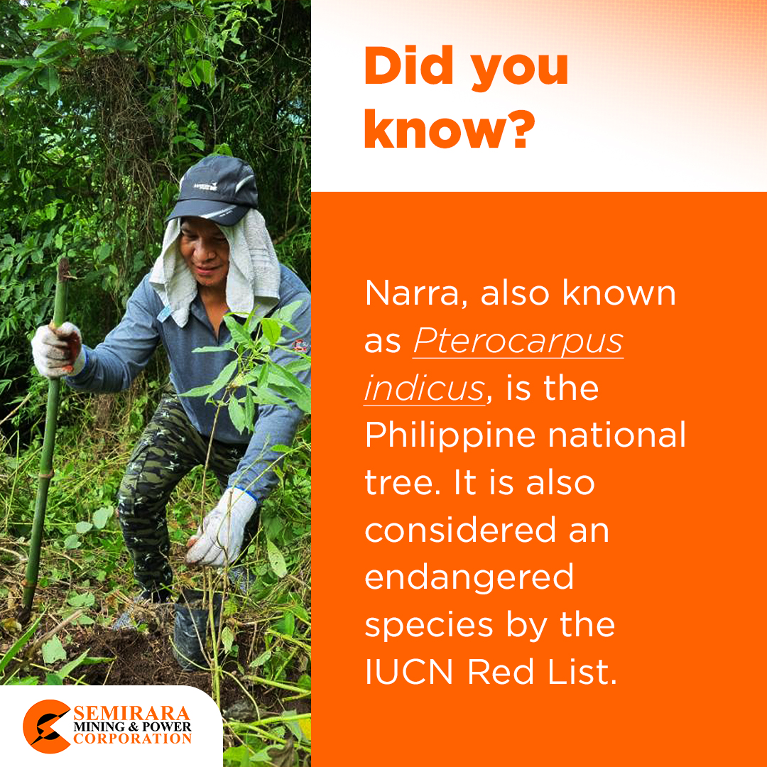 Our country’s national tree is... - SMPC Empowering Others